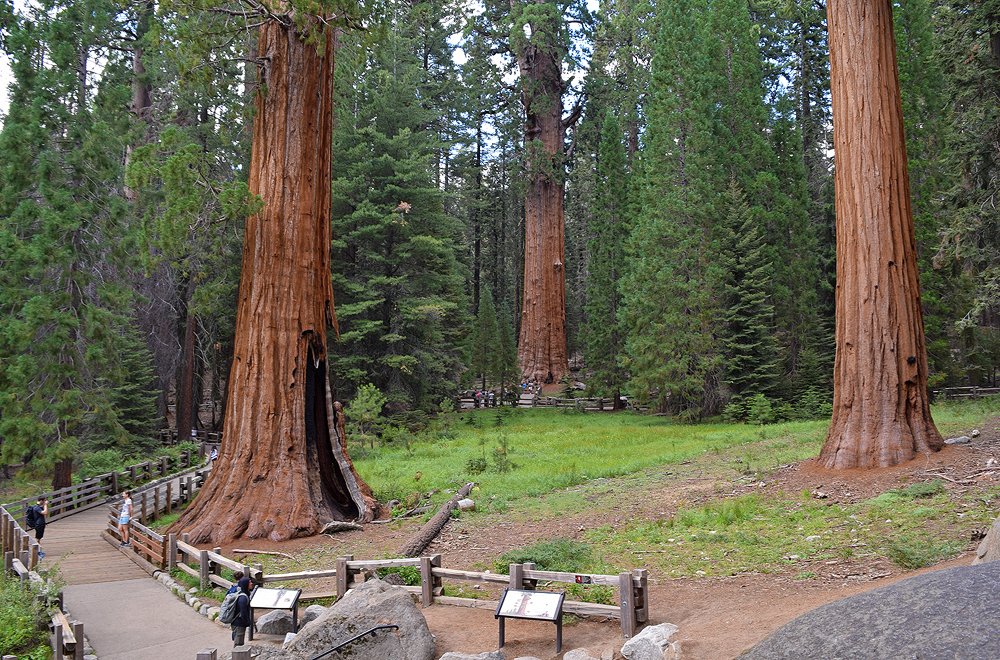 Раскрывая секреты: парки Запада от Калифорнии до Монтаны