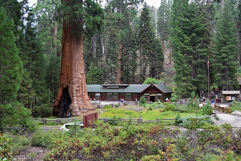 Раскрывая секреты: парки Запада от Калифорнии до Монтаны